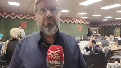 شربیانی: تکمیل پروژه متروی شهرری در شهریور/ اصابتهای جنگ مانع کار نشد / اخبار استان تهران - اخبار استانها