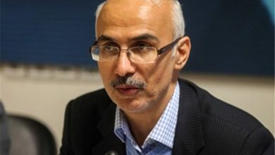 صدیقی: حمایت از استادان جوان، راهکار کاهش مهاجرت نخبگان دانشگاهی / اخبار سیاسی روز , اخبار حوزه علمیه و دانشگاه