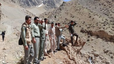 حفاظت از حیاتوحش با چالش کمبود شدید نیرو و تجهیزات! / اخبار سمنان - اخبار استانها