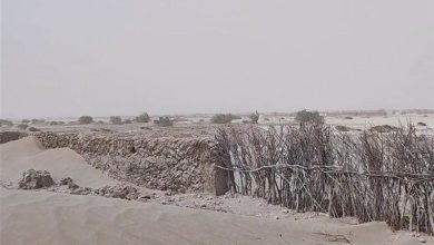 بادشکنهای گِلی چگونه از گسترش شنهای روان جلوگیری میکنند؟ / اخبار سیستان و بلوچستان - اخبار استانها