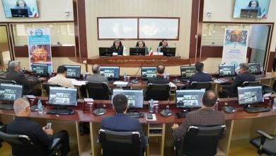 بیرجند میزبان نشست ملی پایش آمادگی اجرای پزشکی خانواده شد / اخبار خراسان جنوبی - اخبار استانها