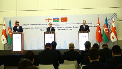 نشست سه جانبه وزرای خارجه ترکیه، جمهوری آذربایجان و گرجستان