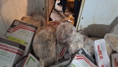 توضیحات دانشگاه علوم پزشکی هرمزگان در رابطه با یک محموله گوشت فاسد / اخبار جزایر خلیج فارس - اخبار استانها