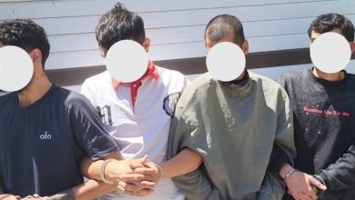 انهدام شبکه سازمانیافته احتکار نهادههای دامی در مازندران / اخبار مازندران - اخبار استانها