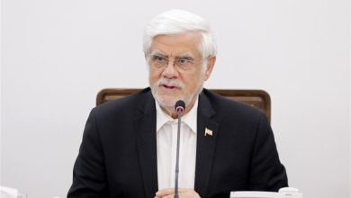 عارف: برنامهریزی برای مهاجرت معکوس به روستاها ضروری است / اخبار سیاسی روز , اخبار دولت