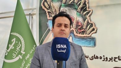 مدیر جهاد کشاورزی پیشوا: توسعه گلخانهها راهکار مقابله با بحران کمآبی / پیشوا , کشاورزی , دامپروری , گلخانه , کمآبی