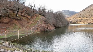 هشدار منابع طبیعی سمنان درباره خطر مرگبار شنا در سدها و بندهای خاکی / اخبار سمنان - اخبار استانها