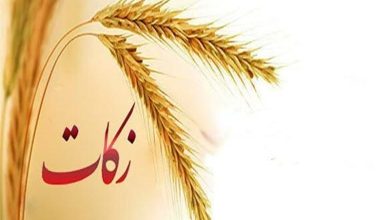 25 میلیارد تومان زکات در ایلام جمعآوری شد / اخبار ایلام - اخبار استانها