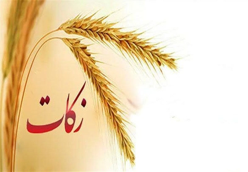 25 میلیارد تومان زکات در ایلام جمعآوری شد / اخبار ایلام - اخبار استانها