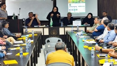 آغاز تحول در صنعت برنج گیلان؛ شالیکوبیها شناسنامهدار میشوند / اخبار گیلان - اخبار استانها