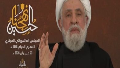 شیخ نعیم قاسم: از توافق طائف حمایت می کنیم