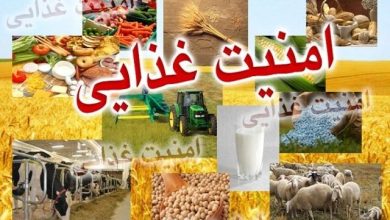 تأکید بر ضرورت خودکفایی پایدار در امنیت غذایی کشور / امنیت غذایی , خودکفایی , کشاورزی , بهرهوری , محصولات راهبردی