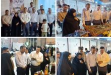 نمایشگاه عرضه مستقیم محصولات مشاغل خانگی در دیلم افتتاح شد / اخبار بوشهر - اخبار استانها