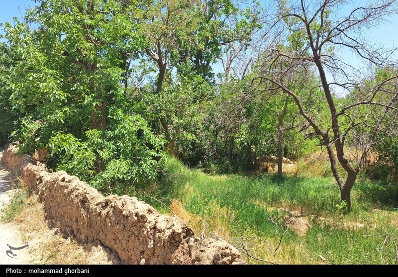 سند راهبردی برای تبدیل روستاها از حاشیهنشینان توسعه به بازیگران اصلی / اخبار سیاسی روز , اخبار مجلس