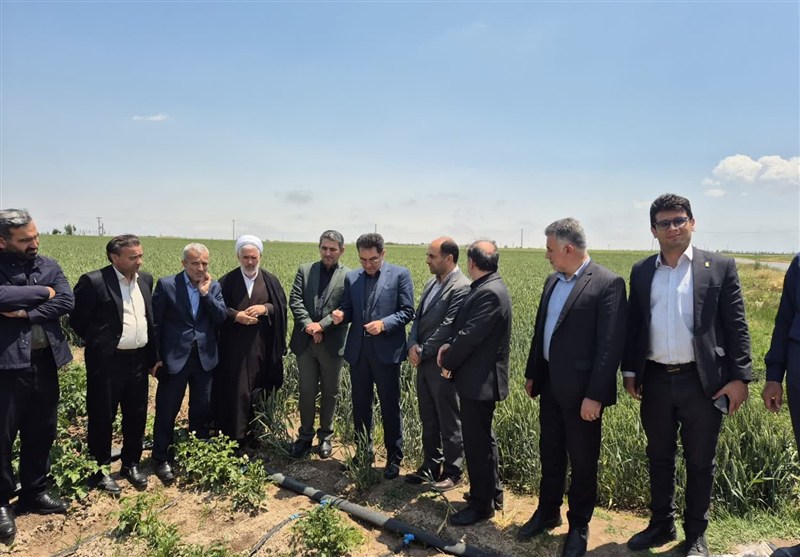 90 درصد مزارع سیب زمینی اردبیل تحت پوشش آبیاری نوین / اخبار اردبیل - اخبار استانها