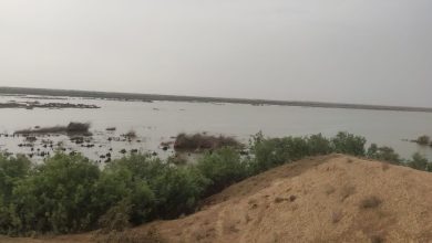 صدور سند مالکیت دولتی برای اراضی ساحلی و تالابهای گلستان / اخبار گلستان - اخبار استانها