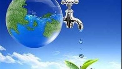 جهاد صرفهجویی؛ نسخه نجات خراسان جنوبی از بحران آب و گرمای تابستان / اخبار خراسان جنوبی - اخبار استانها