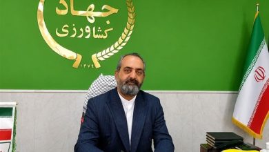 خرید بیش از 8 هزار تن گندم در اردستان / اخبار کاشان - اخبار استانها