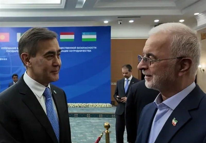 ببینید| سازمان همکاریهای شانگهای، بازیگر موثر در تحولات جهانی / اخبار سیاسی روز , اخبار سیاست خارجی