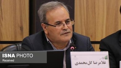 وابستگی ۹۸ درصدی ایران به بذر هیبرید/ رونمایی از ۴۰ رقم جدید بذر / بذر هیبرید , کشاورزی , محصولات دانشبنیان , امنیت غذایی , تات
