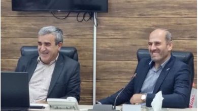 کارگاههای چوببری متخلف در اردبیل پلمب شد / اخبار اردبیل - اخبار استانها