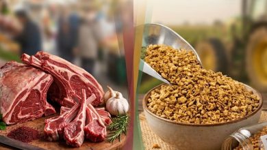 تأثیر ممنوعیت صادرات سویا بر بازار گوشت و تولید پروتئینهای جایگزین / سویا , گوشت , نهاده دامی , پروتئین , سبد خانوار