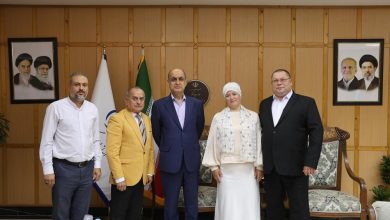 دیدار هیئت اقتصادی روسیه با مقامات ایرانی؛ ظرفیتهای جدید همکاری در راه است / روسیه , ایران , همکاری اقتصادی , سرمایهگذاری , تجارت