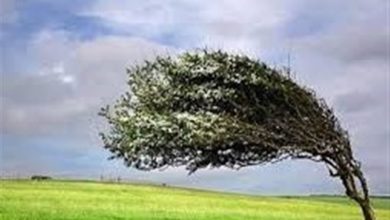 دامغان با ثبت تندباد 94 کیلومتری رکورددار وزش باد در استان سمنان شد / اخبار سمنان - اخبار استانها