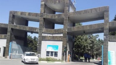 رشد متقاضیان دکتری در دانشگاه خوارزمی با وجود کاهش رشتهها / اخبار البرز - اخبار استانها