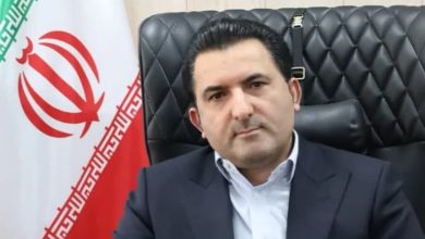 معاون وزیر جهاد کشاورزی: مداخله دولت در بازار مرغ و تخممرغ کاهش مییابد / وزارت جهاد کشاورزی , مرغ , تخم مرغ , تنظیم بازار , محصولات دامی