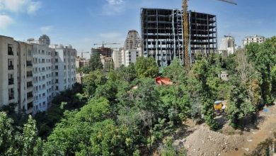 افزایش 15 درجهای دما بر اثر تبدیل یک باغ به ساختمان! / اخبار البرز - اخبار استانها