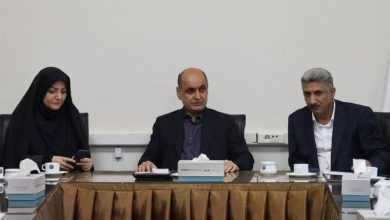 رفع موانع تولید در سیمان دیلمان با جدیت دنبال میشود / اخبار گیلان - اخبار استانها