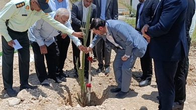 رویکرد تحولی دستگاه قضایی بوشهر؛ صدور «احکام سبز» به جای حبس / اخبار بوشهر - اخبار استانها