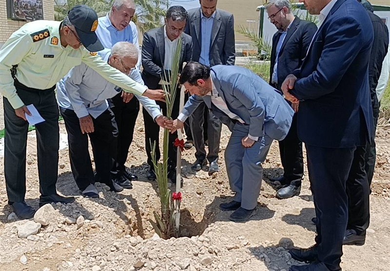 رویکرد تحولی دستگاه قضایی بوشهر؛ صدور «احکام سبز» به جای حبس / اخبار بوشهر - اخبار استانها