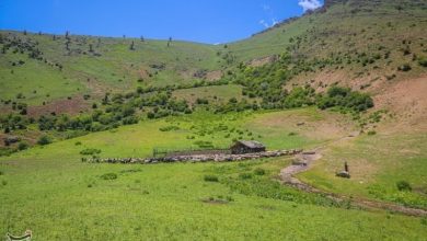 وقتی دامداران بندپی به طبیعت فرصت نفس کشیدن میدهند / اخبار مازندران - اخبار استانها