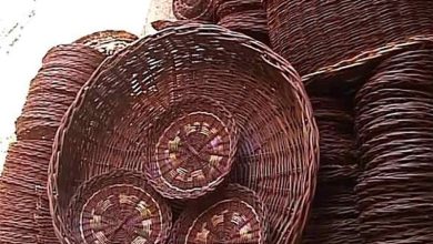 سبدبافی روستای کپرجودکی بروجرد ثبت ملی شد / اخبار لرستان - اخبار استانها