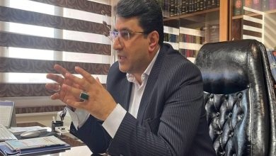 70 درصد اراضی کشاورزی در زنجان سنددار شد / اخبار زنجان - اخبار استانها