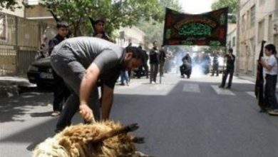 نظارت بهداشتی و شرعی 77 گروه بر ذبح قربانی در روزهای تاسوعا و عاشورا / اخبار گلستان - اخبار استانها