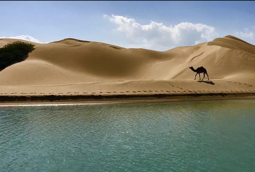 بلاگرها به دَرَک رفتند / اخبار سیستان و بلوچستان - اخبار استانها