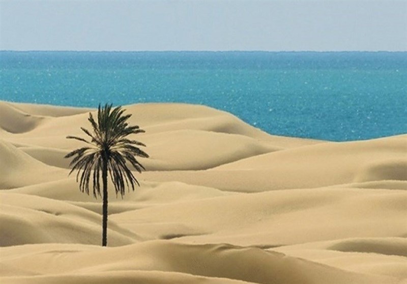 «صیادی سنتی» ظرفیتی ارزشمند برای توسعه گردشگری دَرَک / اخبار سیستان و بلوچستان - اخبار استانها