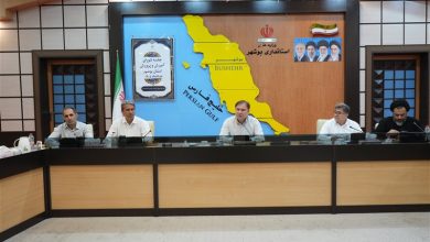 تدوین برنامه آموزش و پرورش برای اوقات فراغت دانشآموزان استان بوشهر / اخبار بوشهر - اخبار استانها