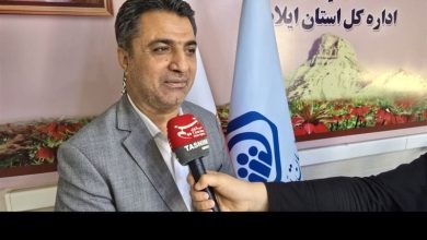 54 درصد جمعیت ایلام زیر چتر تأمین اجتماعی قرار دارند / اخبار ایلام - اخبار استانها