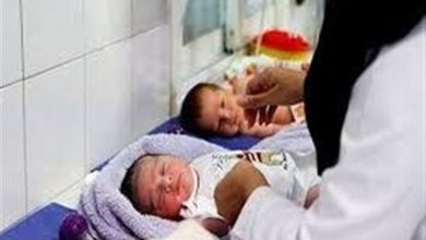 زنگ خطر کاهش نرخ باروری در استان قزوین / اخبار قزوین - اخبار استانها