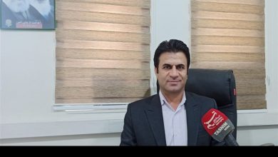 300 عنوان کتاب امسال در استان ایلام منتشر شد / اخبار ایلام - اخبار استانها