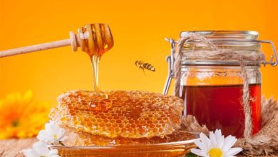 عسل زرشک و عناب خراسان جنوبی شناسنامهدار میشود / اخبار خراسان جنوبی - اخبار استانها