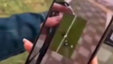 استفاده خلاقانه از کارت هواداری فیفا در جام جهانی توسط دختر ایرانی / کارت هواداری فیفا , جام جهانی , دختر ایرانی , فوتبال , ورزش