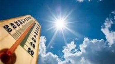 کاهش تدریجی دمای هوا و تداوم وزش باد در خراسان جنوبی تا پایان هفته / اخبار خراسان جنوبی - اخبار استانها