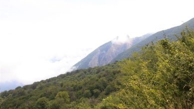 ماجرای خروج 1000 هکتار از منطقه حفاظتشده جهاننما چه بود؟ / اخبار گلستان - اخبار استانها