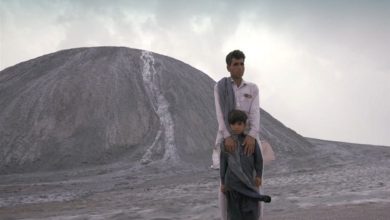 ببینید|گلفشان مکران دوباره بیدار شد؛ شگفتی میلیونساله جان گرفت / اخبار سیستان و بلوچستان - اخبار استانها