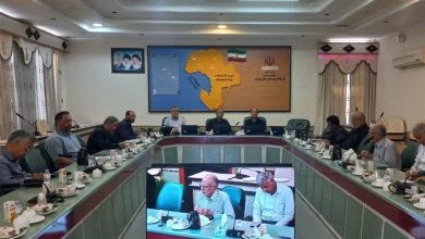 تدوین 4 محور راهبردی بوشهر برای کاهش آسیبهای اجتماعی / اخبار بوشهر - اخبار استانها